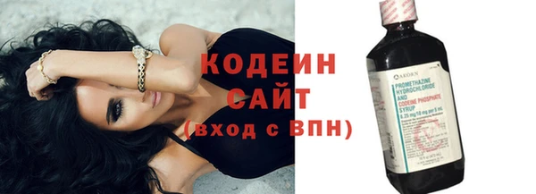 шишки Богородицк