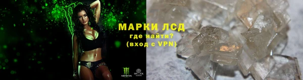 шишки Богородицк